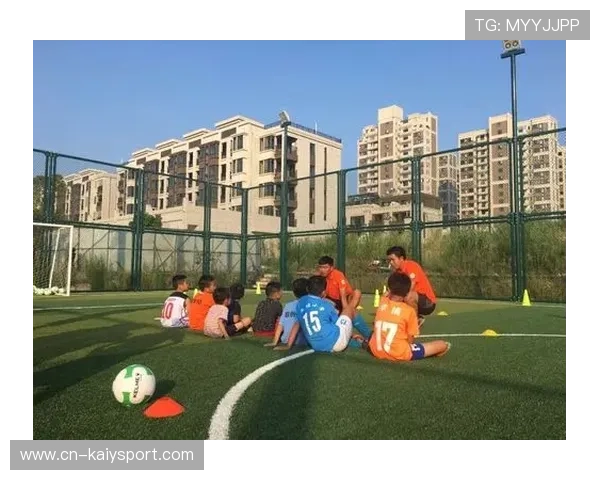 俱乐部与社会组织合作 开展青少年体育公益课堂，青少年体育俱乐部组织机构