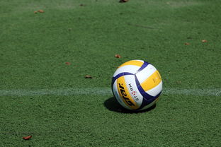 开云体育链接-女子排球世锦赛中国队逆转强敌夺冠，女子排球世锦赛几年一届