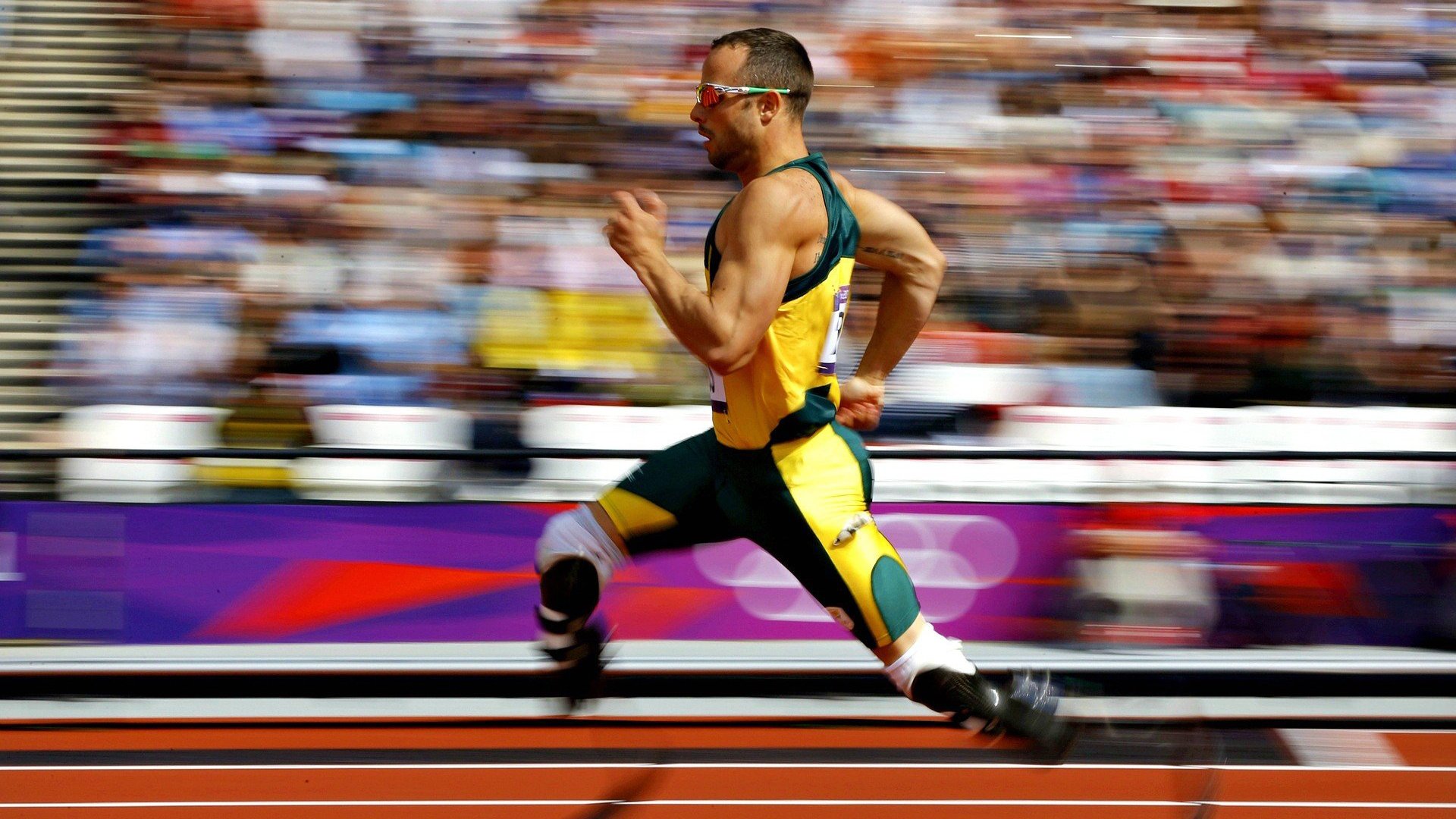 开云体育网页版-德约科维奇蝉联冠军赛季统治力在线，德约科维奇冠军一览